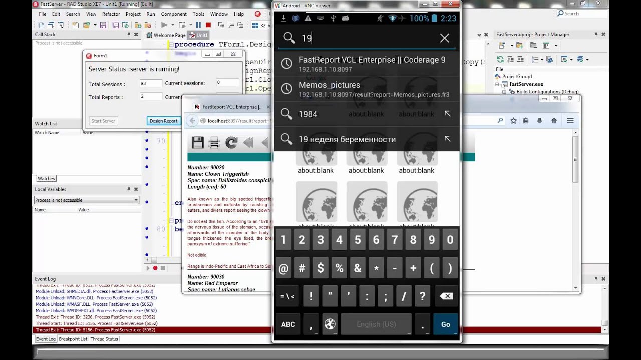 How to Get Reports on Mobile Devices by FastReports