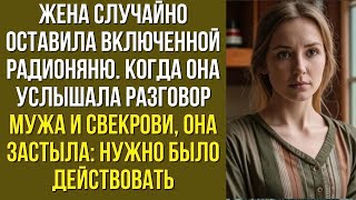 картинка: Жена случайно оставила включенной радионяню. Когда она услышала разговор мужа и свекрови