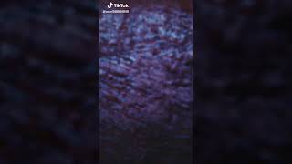 Beca Tv Jumping Tiktok