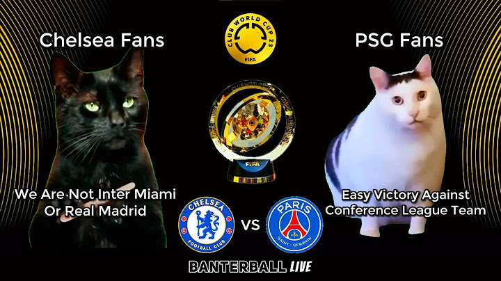 Chelsea DESTROYS PSG 3-0 | Cat Memes Highlights | FIFA Club World Cup Final
