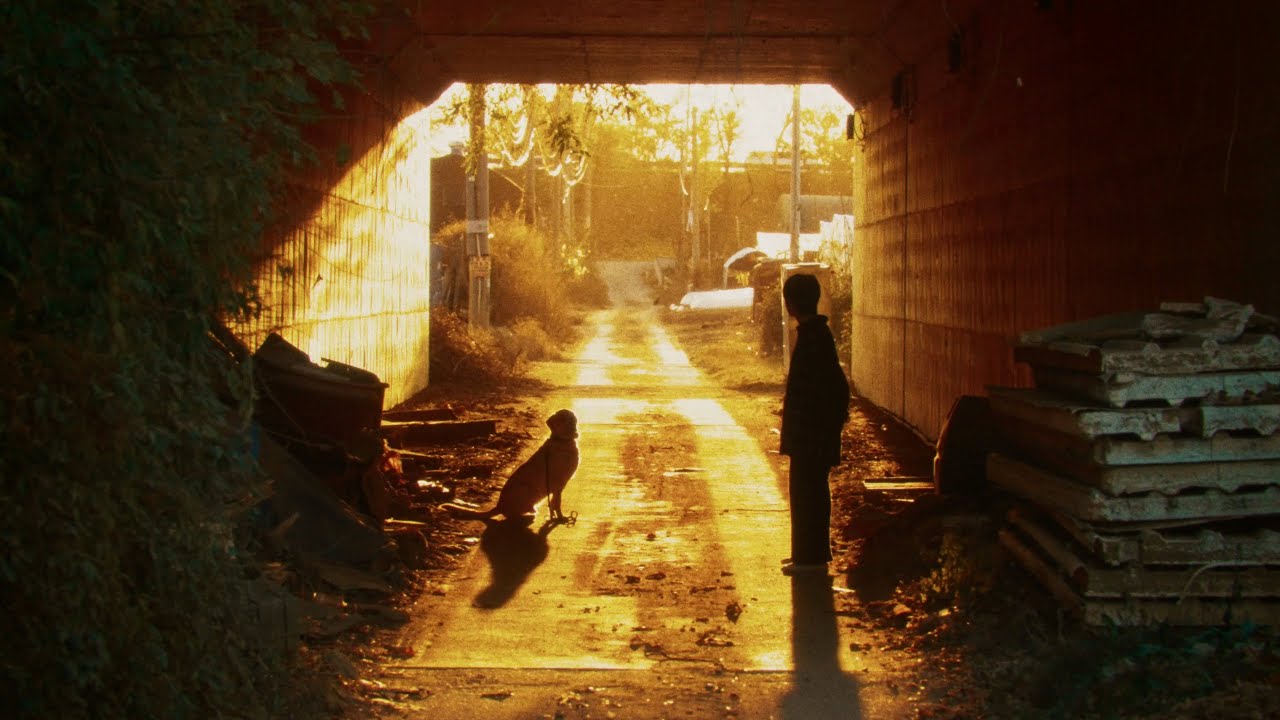 자우림 - '스타스 STARS' Music Video