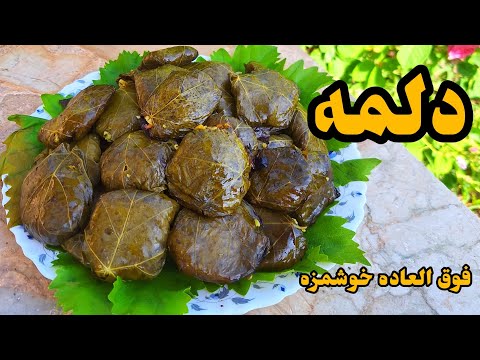 طرز تهیه دلمه برگ فوق العاده خوشمزه با تمام نکات
