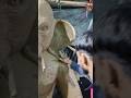 Deva Shree Ganesh Shortsfeed Trending Shorts Viral Ganesh Subscribe Deva Shree Ganesh Shortsfeed Trending Shorts Viral Ganesh Subscribe
