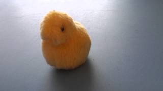 Mayia Et Son Poussin Piou