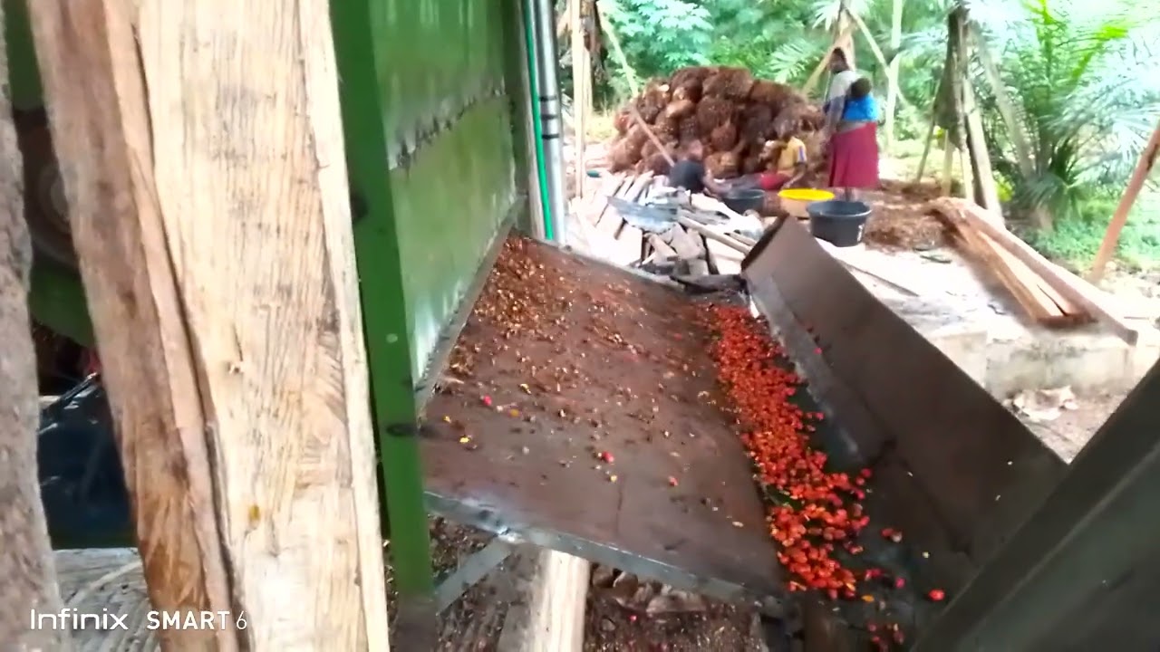Palm Oil Processing Machines