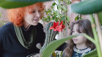 2/26（土）公開『金の糸』予告編