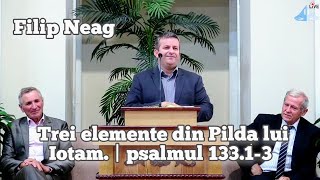Filip Neag -  Trei elemente din Pilda lui Iotam. | psalmul 133.1-3. | Predică 31.07.2022.