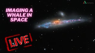 Astrophotography - Imaging the Whale and Hockey Stick Galaxy