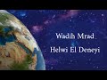 Wadih Mrad Helwi El Deneyi Güzel Dünya Türkçe çeviri Arapça şarkı