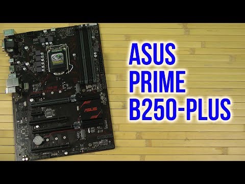 Распаковка Asus Prime B250-Plus