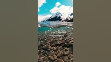 الشيخ ياسر الدوسري || تلاوة من سورة الشعراء #تلاوة_خاشعة #اللهم_صل_وسلم_على_نبينا_محمد #قران_كريم 🤍