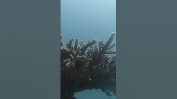 في رحاب القرآن الكريم