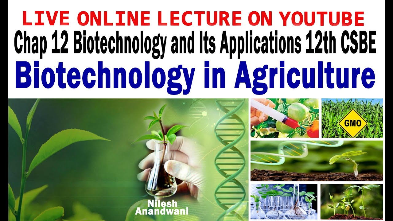 APPLICATION OF BIOTECHNOLOGY IN AGRICULTURE- CHAP 12 BIOTECHNOLOGY AND ITS APPLICATION 12TH CBSE.