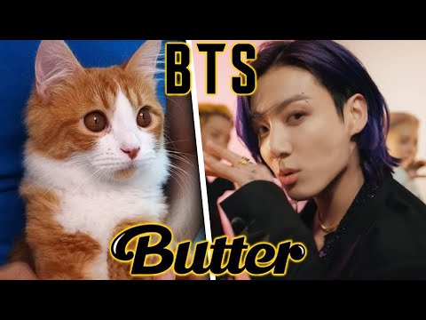 CAT REACTS to BTS (방탄소년단) 'BUTTER' MV (BTS MV REACTION)