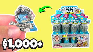 Hunting the $1,000+ Mr Beast Swarm (NEW Set)