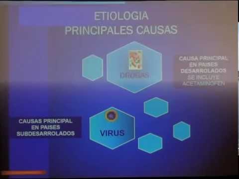 Vídeo: Utilidad Pronóstica De La Diferenciación Basaloide En El Cáncer De Orofaringe