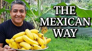 5 Tips How to Grow a Ton of Bananas in the Backyard (The Mexican Way)