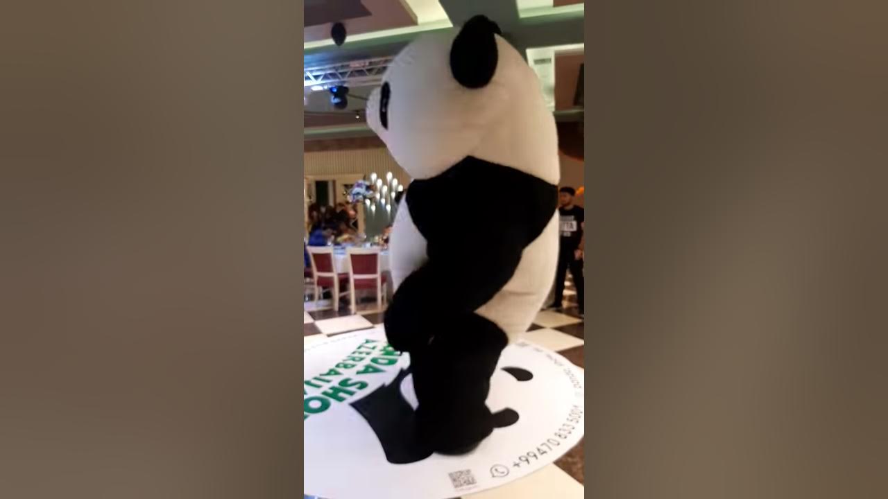 Panda show YouTube