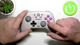GameSir Nova – Preview HD Rumble dan Tata Letak Tombol (gaya Nintendo Switch)