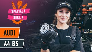 Kā mainīties Salona filtrs ALPINA B5 (E60): bezmaksas video