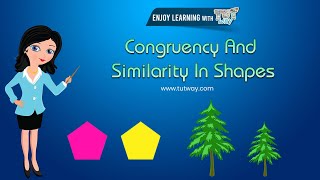 Famous Shapes | Congruent Shapes and Similar Shapes | Concepts, Examples | 3D Shapes | Math Profile