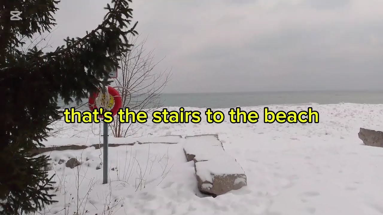 The West side of the Scarborough Bluffers Park after Snowstorm 