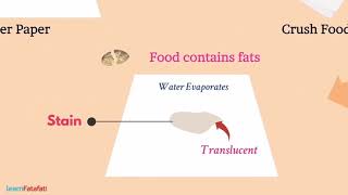 class 6 Science Module 3