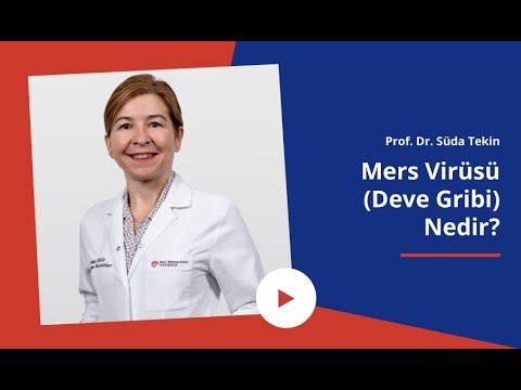 Mers Virüsü (Deve Gribi) Nedir? | Prof. Dr. Süda Tekin