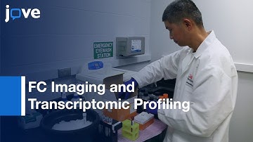 FC Imaging and Transcriptomic Profiling to Evaluate CD1d Trafficking | Protocol Preview