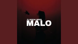 MALO 2 - FIFI
