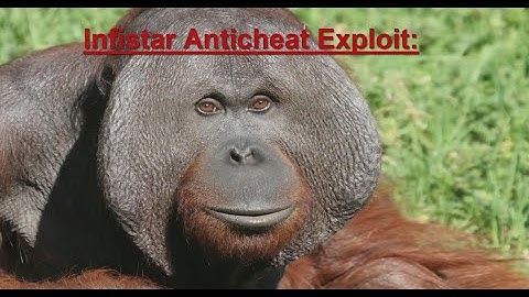 Infistar Anticheat Exploit - Banning ~ 40 Server