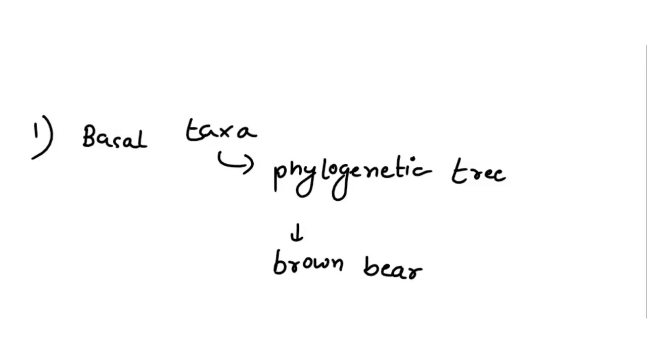 Phylogeny, Basal taxa, Sister taxa, Heterochrony, Polytomy, Parsimony, Orthologous, Paralogous, Mon…