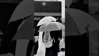 Zindagi m kabhi takleef ay na #allah # biyan #love #dua #islamicvideo #status #viral