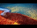 20,000 STAR WAR JEDI &amp; NINJAS VS BLUE RANGERS | UEBS2 MOD | Ultimate Epic Battle Simulator 2