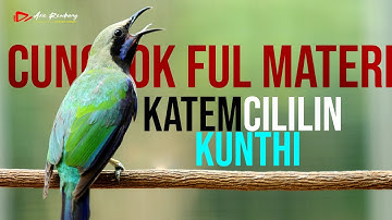 MASTERAN CUNGKOK ISIAN KATEM CILILIN KUNTI SUARA JERNIH POL MEWAH