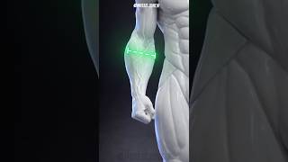 exercise for bigger and wilder forearms #gymmotivation #shorts #viral