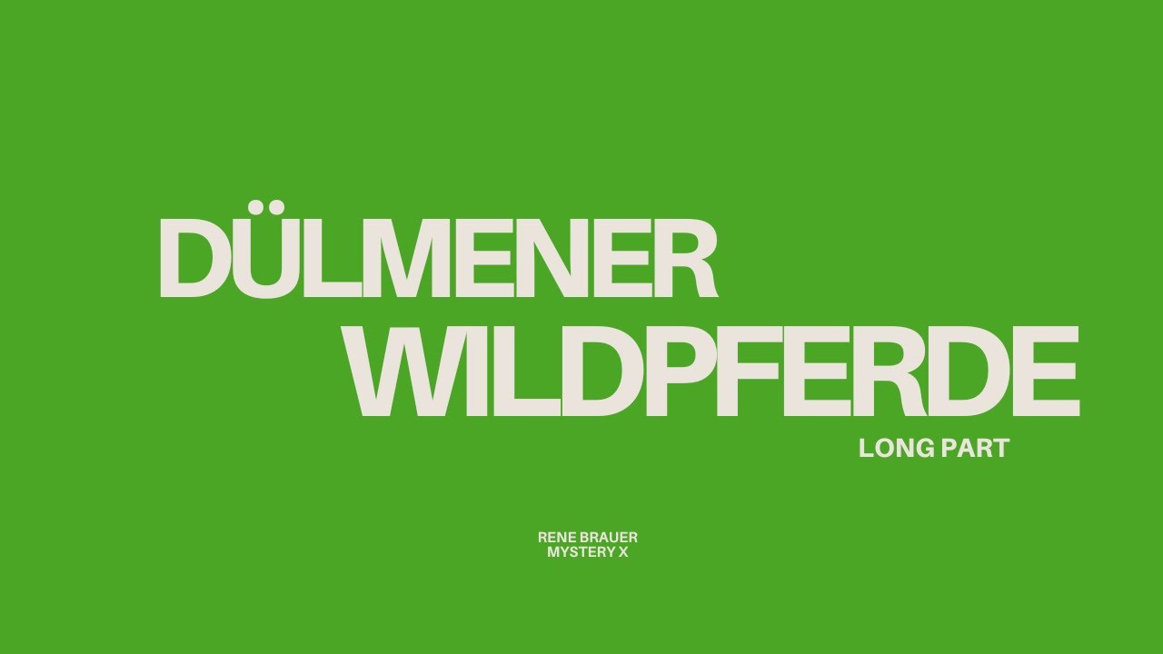 Dülmener Wildpferde 2025