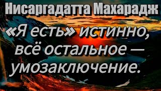 Мы Всегда Относимся К Себе Хорошо, Но Не Всегда Мудро. Нисаргадатта Махарадж #Просветление #Мудрость