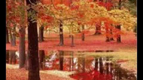 تلاوة عطرة بصوت القارىء حمد الدغيري