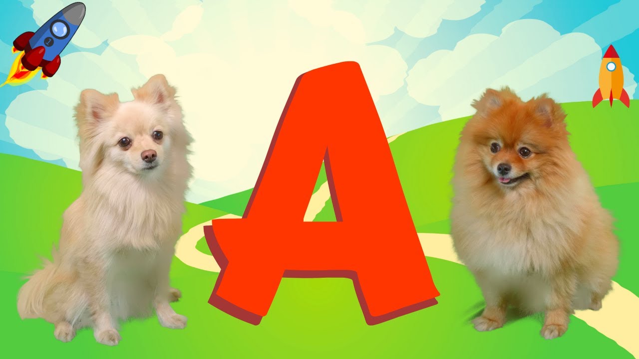 Letter A | Smart Pets Adventures | Phonics |