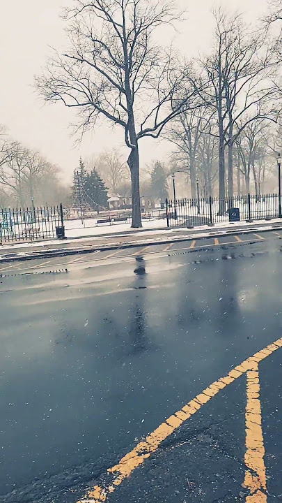 Light Snow ❄️  Live
