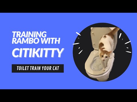 Video: Toilet Training Cats… Talaga?