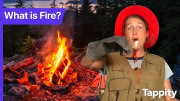 What is Fire? | Chemistry for Kids | Ask Tappity: Science Questions & Answers