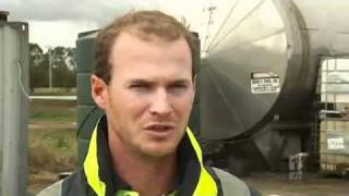 Poppy seed oil used to make biodiesel