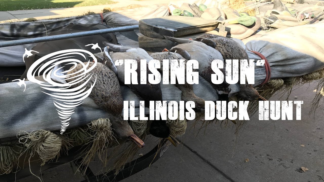 "RISING SUN" Illinois Duck Hunt YouTube