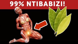 Kunywa Icyayi cy’Amababi ya Bay Buri Munsi Bihindura Umubiri Wawe Burundu 💥(Biratangaje)🤯