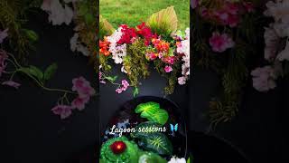 #enchanting #fairy #mermaids #boudoirphotographer #fantasyphotography #magic #lagoon #photosession