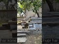 600 Sal purana mandir Shiv mandir #youtubeshorts #travelblog #viralvideo #viralvideo#ytshorts