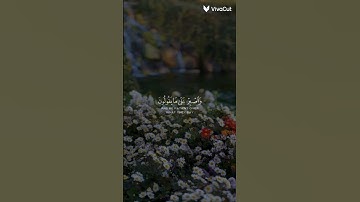 واصبر على ما يقولون وأهجرهم هجرا جميلا 🌿 سورة المزمل 🌿 القارئ عبد الرحمن مسعد 🌿