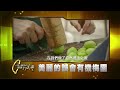 美麗的誤會有機梅園 #一步一腳印